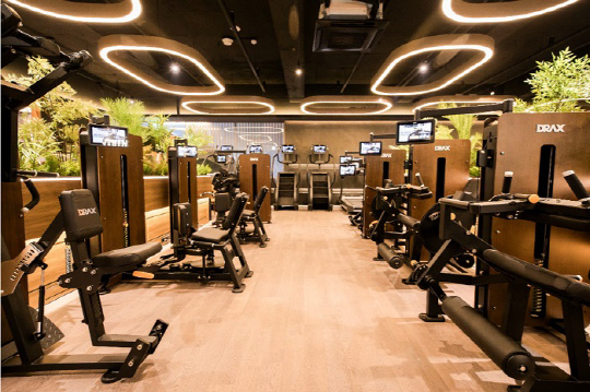 하이랙스 강남구청역점